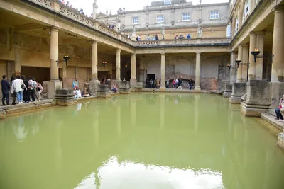 DSC_2658 (Large).JPG